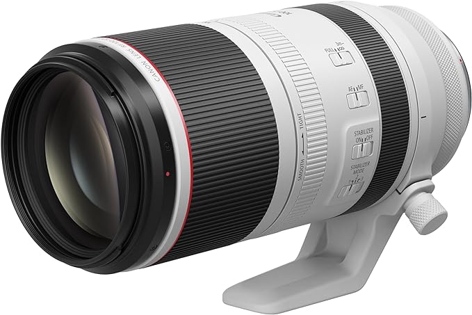Obiettivo Canon RF 100-500mm F4.5-7.1L IS USM - Scopri l'innovazione di alta qualità - a soli 2740€