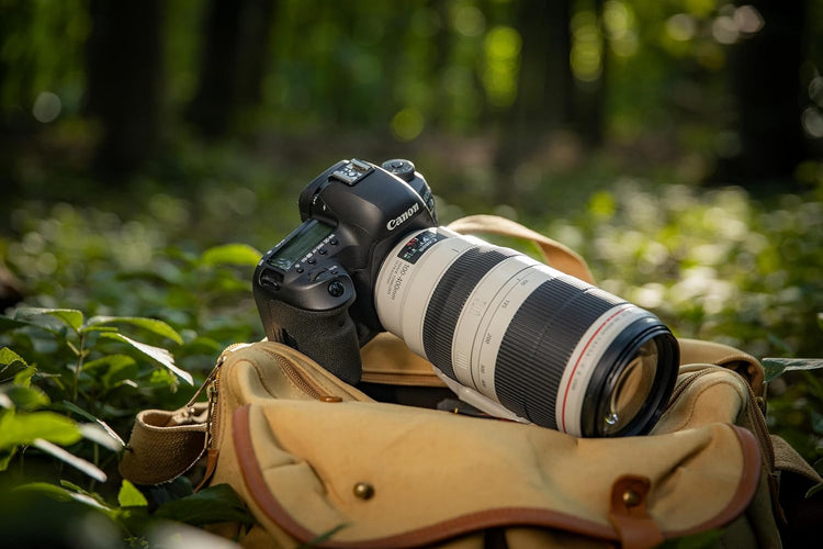 Canon obiettivo EF 100-400mm f/4,5-5,6 L IS II USM - Scopri l'innovazione di alta qualità - a soli 1911€